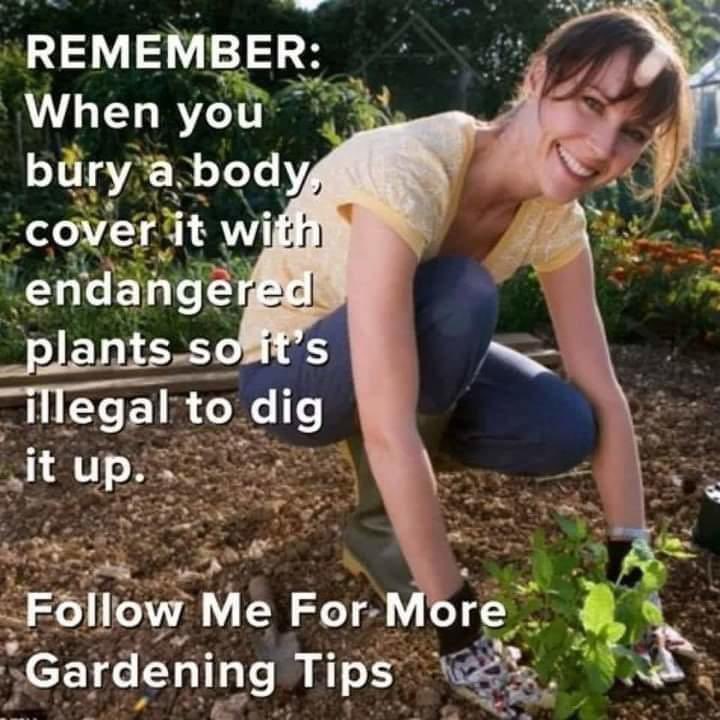 Sound Advice