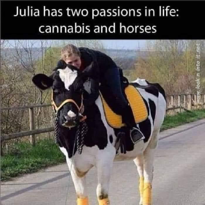 2 Passions