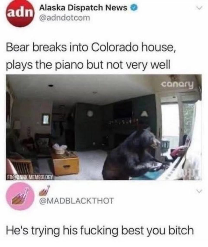 Bear breaks in