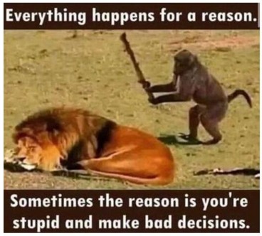 Everything happens for a reason